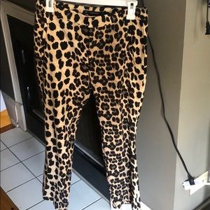 Zara Basic Leopard Print Pants